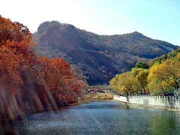 澳门天天免费精准大全，唐山钓鱼论坛